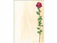 SIGEL DP695 Motiv-Papier "Rose Bloom", Briefpapier 90 g, DIN A4, 25 Blatt, aus