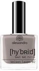 Alessandro Hybrid Lack Velvet Taupe &ndash; Helles Taupe &ndash; In Nur 3 Schritten -