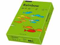 Papyrus 88042681 Drucker-/Kopierpapier farbig: Rainbow 160 g/m² A4 250 Blatt,