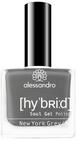 Alessandro Hybrid Lack New York Grey &ndash; Schlichtes Grau- In Nur 3 Schritten -