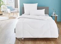 Irisette Lotte 4-Jahreszeitendecke - Produziert in Deutschland - Steppbett mit Top