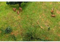 Faller J&auml;ger und Rehe 1:87 Spur H0 Figuren (151702)