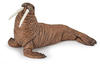 Papo - Große Tierfigur - Walross aus dem Meeresuniversum, Polare Reise,