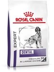 Royal Canin Dog dental, 1er Pack (1 x 14 kg)