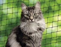 Nobby Katzenschutznetz, schwarz, S, 2 x 3 m