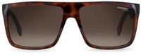 Sonnenbrillen CARRERA CARRERA 5039/S 2OS HAVANA MATTE BLACK 58/16/145 Herren