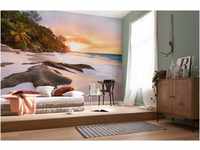 Komar Vlies Fototapete | NATURE | 368 x 248 cm | Tapete, Wand, Dekoration, Wandbelag,