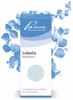 Pascoe® Lobelia Similiaplex: Homöopathisches Komplexmittel – 50 ml –