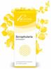 Pascoe® Scrophularia Similiaplex: Homöopathisches Komplexmittel – 50 ml –