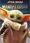 Trefl Puzzle 1000 Teile - Star Wars The Mandalorian: Grogu (Premium Plus) -