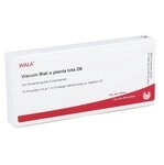 VISCUM MALI e planta tota D 6 Ampullen 10X1 ml