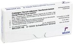 CRATAEGUS/FERRUM sidereum/Saccharum tostum Amp. 8 ml Ampullen
