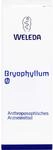 BRYOPHYLLUM Urtinktur 50 ml