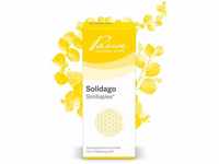 Pascoe® Solidago Similiaplex: Homöopathisches Komplexmittel – 100 ml –