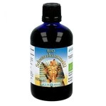 SCHWARZK&Uuml;MMEL BIO &auml;gypt.&Ouml;l 100 ml