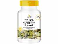 Kürbiskern-Extrakt 500mg - Kürbiskern Plus Vitamin E & Selen - hochdosiert -...