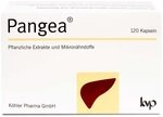 Pangea Kapseln 120 stk