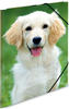 HERMA 7144 Sammelmappe A3 Tiere Hunde, Kinder Eckspanner-Mappe aus Kunststoff mit