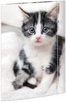RNKVERLAG 45331 - Zeichenmappe Katze 310 x 440 mm in DIN A3 mit Gummizugverschluss, 1