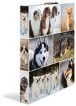 HERMA Ringbuch A4 Hunde, schmal, 2 Ringe, 35 mm breit, Kinder Ringordner mit Tier