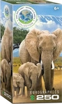 Elephants - Neuware (Buch)