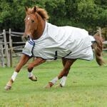 Bucas Power Turnout Light High Neck 130