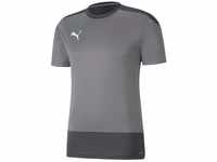 PUMA Herren, teamGOAL 23 Training Jersey Trainingstrikot, Steel Gray-Asphalt, XXL