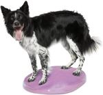 FitPAWS Balance Disc - Razzleberry - 56 cm