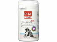 PHA ZahnSchutz Plus Pulver f.Hunde/Katzen 60 g Pulver