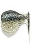 Keitech Easy Shiner 2"