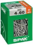 SPAX Schrauben Frankreich Univ Tftx 4 "mit Box 300 Stueck T20 x 60