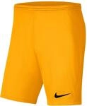 Nike Unisex Kinder Y Nk Df Park Iii Nb K Shorts, University Gold/Black, 164-170 EU