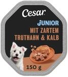 Cesar Schale Junior 14 x 150 g mit Kalb & Truthahn St&uuml;ckchen in Pastete