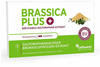 Brassica PLUS – Brokkolisprossen-Extrakt Kapseln – 10 mg stabilisiertes