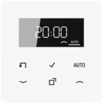 Jung Timer Standard, Display CD 1750 D WW