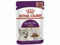 ROYAL CANIN Sensory Smell in Soße für wählerische Katzen 12x85g