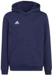 adidas Unisex Kinder Entrada 22 Sweat Hoodie, Team Navy Blue 2, 164