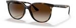 Ray-Ban Brille f&uuml;r Herren, Havana/Brown Shaded, 54