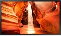 Samsung SMART LCD Signage OM55N-S