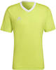 Adidas, Entrada22, Fussball T-Shirt, Team Semi Sol Gelb, M, Mann