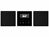 Jung DABLS2SW Smart Radio DAB+ Set Stereo Schwarz Serie LS