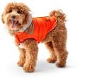 GF Pet LODGE Parka, XS Orange