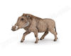 Papo -Handbemalt - Figuren -Wildtiere Der Welt-Warzenschwein-50180-Sammelbar-Für