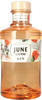 G'Vine | June Pfirsich Gin | 700ml | 37.5% Vol | Fruchtige Noten des Pfirsichs 