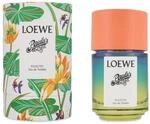 PAULA'S IBIZA ECLECTIC edt vapo 100 ml