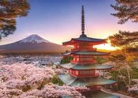 Ravensburger Puzzle 17090 Kirschbl&uuml;te in Japan 1000 Teile Puzzle,...