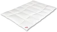 PARADIES Galia 100 Daunenbettdecke 155x220 cm - Winterdecke | 100%...