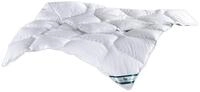 f.a.n. frankenstolz 53161-09625-10 240x220 cm Steppbett Kansas