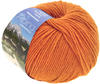 #Lana Grossa Alpina Landhauswolle 042 Orange 100g