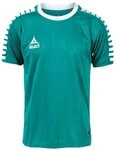 Select Kinder Argentina Trikot, Gruen Weiss, 8, 6225008444